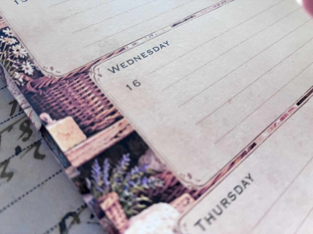 Weekly planner pages with dotted writing lines and vintage cat planner design